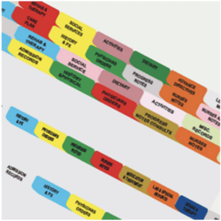 Color-coded poly dividers